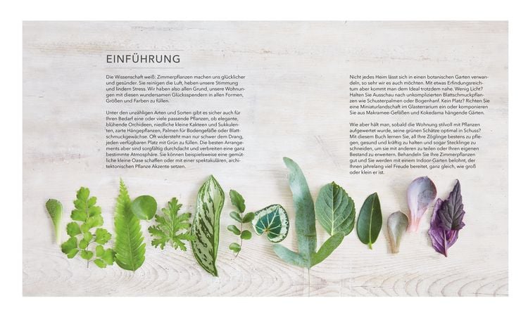 Produktbild: Das große Buch der Zimmerpflanzen
