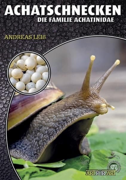 Produktbild: Achatschnecken
