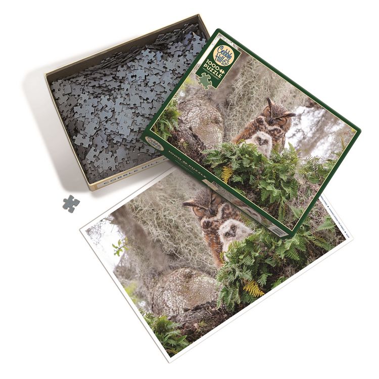 Produktbild: COBBLE HILL PUZZLES - Virginia-Uhu 1000 Teile