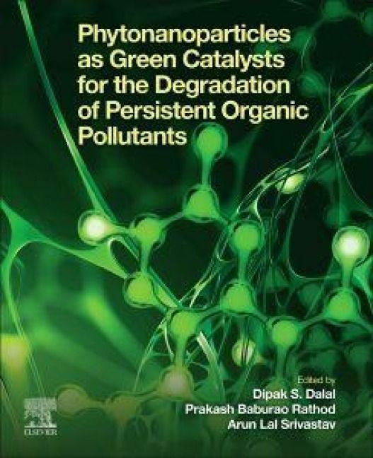 Produktbild: Phytonanoparticles as Green Catalysts for the Degradation of Persistent Organic Pollutants