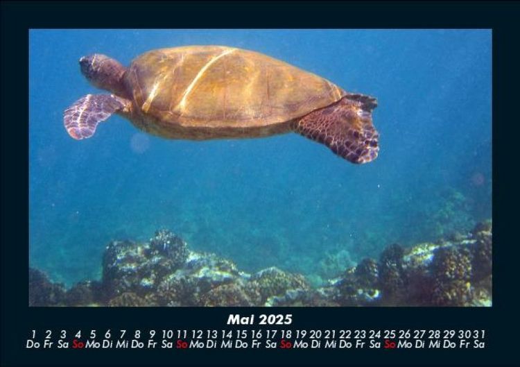 Produktbild: Meereslandschaften 2025 Fotokalender DIN A5