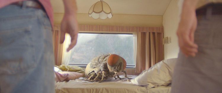 Produktbild: Eine Fliege kommt selten allein - Mediabook (Blu-ray) (+ DVD)