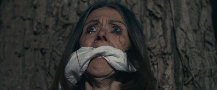 Produktbild: The Burned Over District