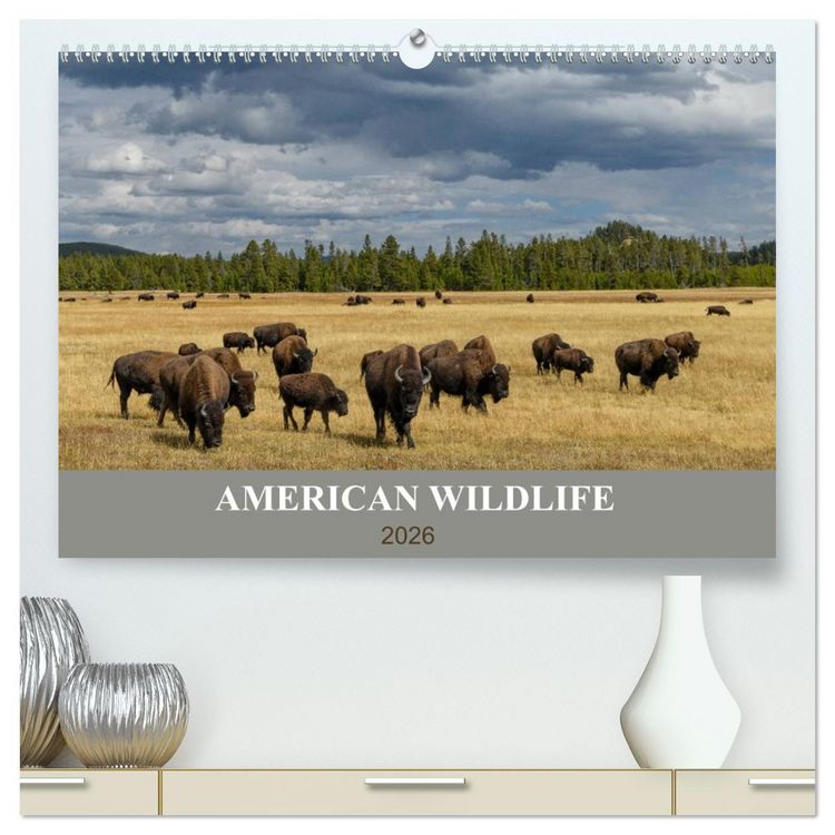Produktbild: American Wildlife (hochwertiger Premium Wandkalender 2026 DIN A2 quer), Kunstdruck in Hochglanz