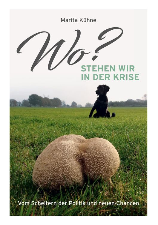 Produktbild: Wo? stehen wir in der Krise