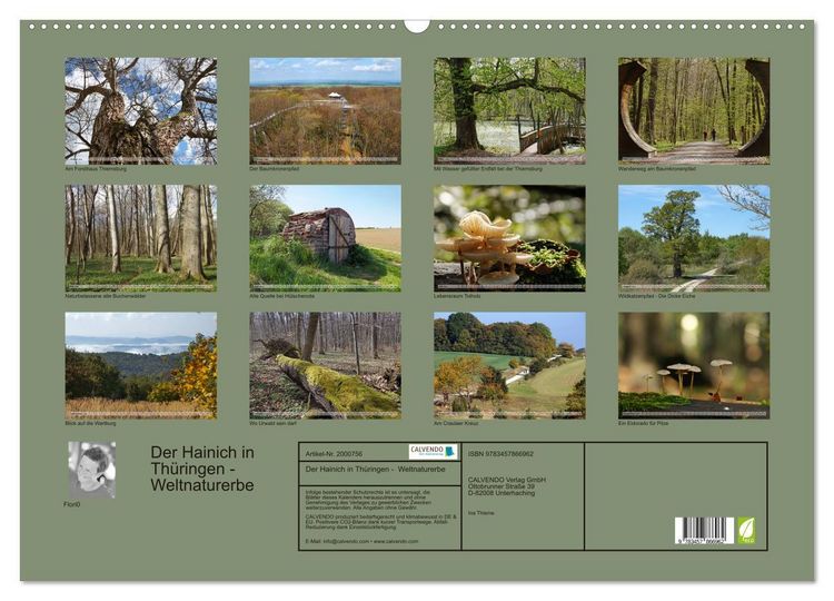 Produktbild: Der Hainich in Th&uuml;ringen - Weltnaturerbe (Wandkalender 2026 DIN A2 quer), CALVENDO Monatskalender
