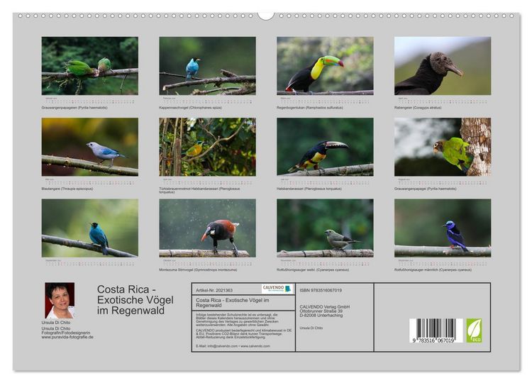 Produktbild: Costa Rica - Exotische V&ouml;gel im Regenwald (hochwertiger Premium Wandkalender 2026 DIN A2 quer), Kunstdruck in Hochglanz