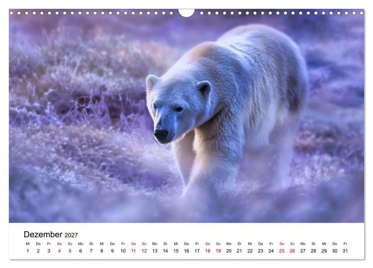 Produktbild: K&ouml;nige des Nordens - Begegnungen mit Eisb&auml;ren (Wandkalender 2027 DIN A3 quer), CALVENDO Monatskalender