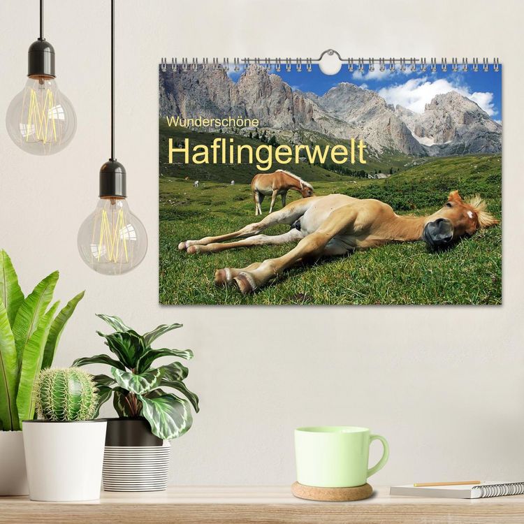 Produktbild: Wundersch&ouml;ne Haflingerwelt (Wandkalender 2026 DIN A4 quer), CALVENDO Monatskalender