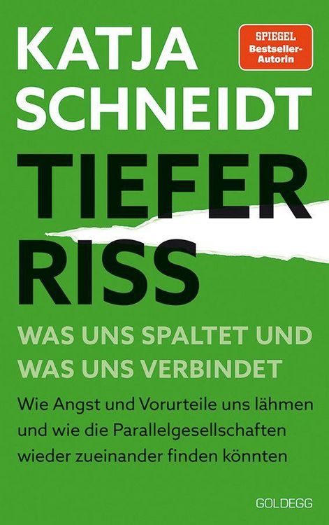 Produktbild: Tiefer Riss - Was uns spaltet und was uns verbindet