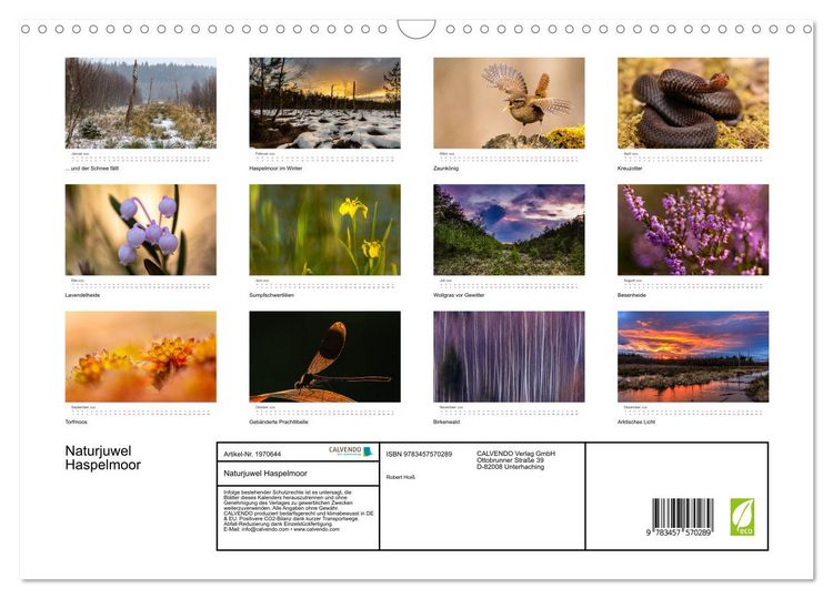 Produktbild: Naturjuwel Haspelmoor (Wandkalender 2026 DIN A3 quer), CALVENDO Monatskalender