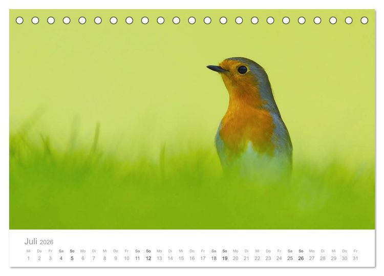 Produktbild: V&ouml;gel in unseren G&auml;rten 2026 (Tischkalender 2026 DIN A5 quer), CALVENDO Monatskalender