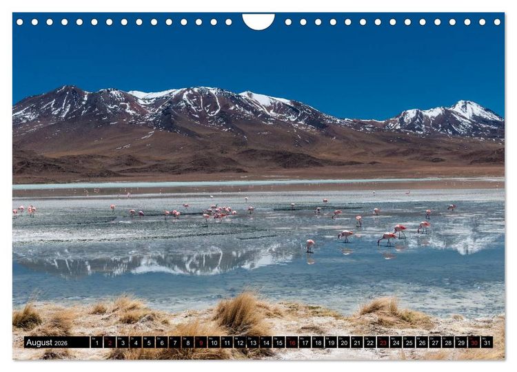Produktbild: Bolivien Andenlandschaften (Wandkalender 2026 DIN A4 quer), CALVENDO Monatskalender