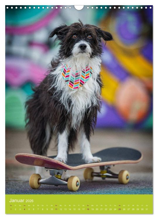Produktbild: Graffiti Dogs Kunterbunt (Wandkalender 2026 DIN A3 hoch), CALVENDO Monatskalender