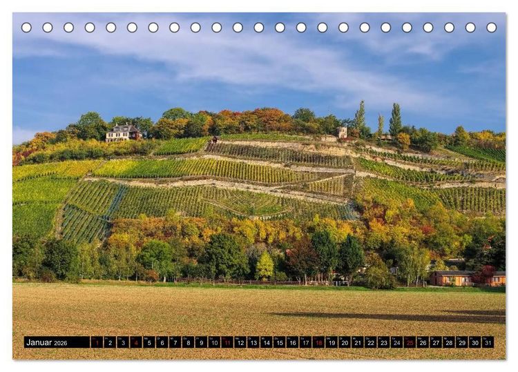 Produktbild: Saale-Unstrut - Region aus Wein und Stein (Tischkalender 2026 DIN A5 quer), CALVENDO Monatskalender