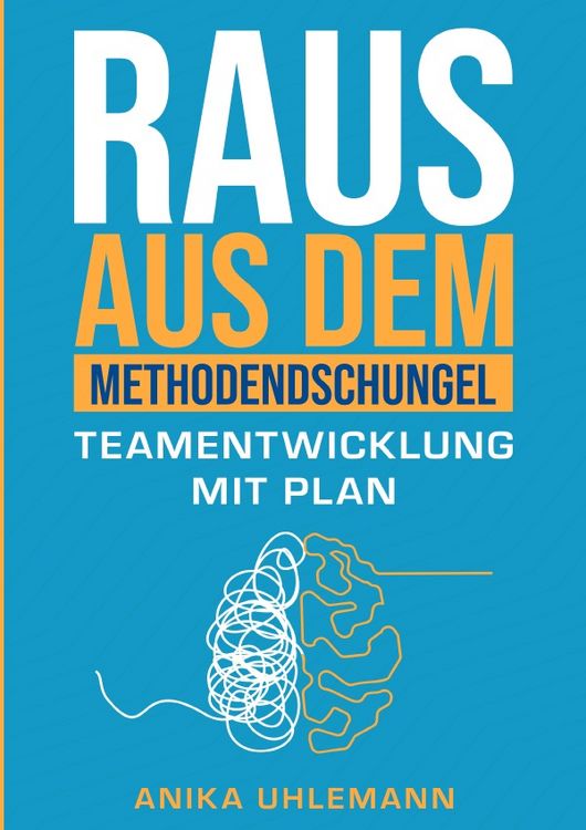 Produktbild: Raus aus dem Methodendschungel: Teamentwicklung mit Plan
