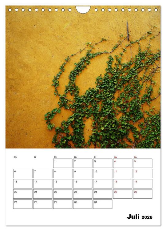 Produktbild: Mauerbl&uuml;mchen - Poesie im Allt&auml;glichen als Monatsplaner (Wandkalender 2026 DIN A4 hoch), CALVENDO Monatskalender
