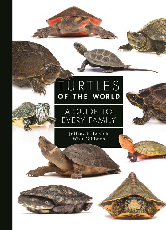 Produktbild: Turtles of the World