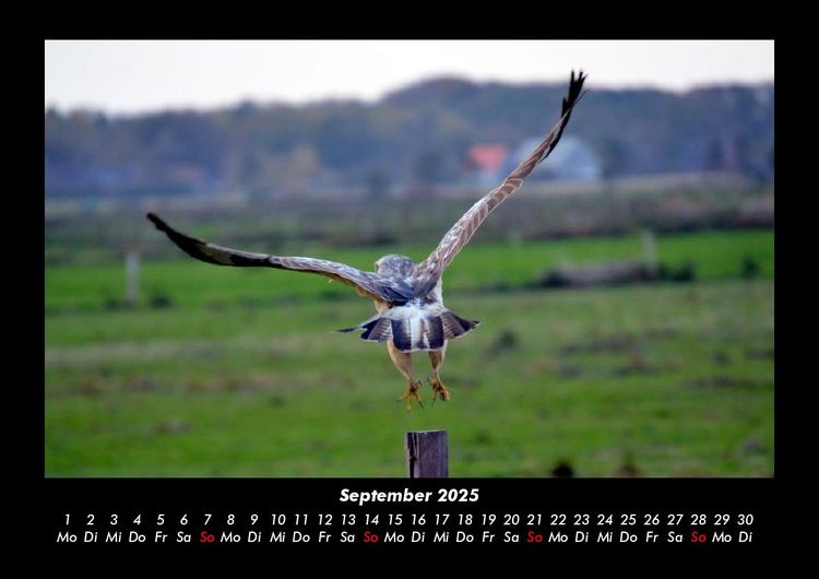 Produktbild: Vogelparadies 2025 Fotokalender DIN A3