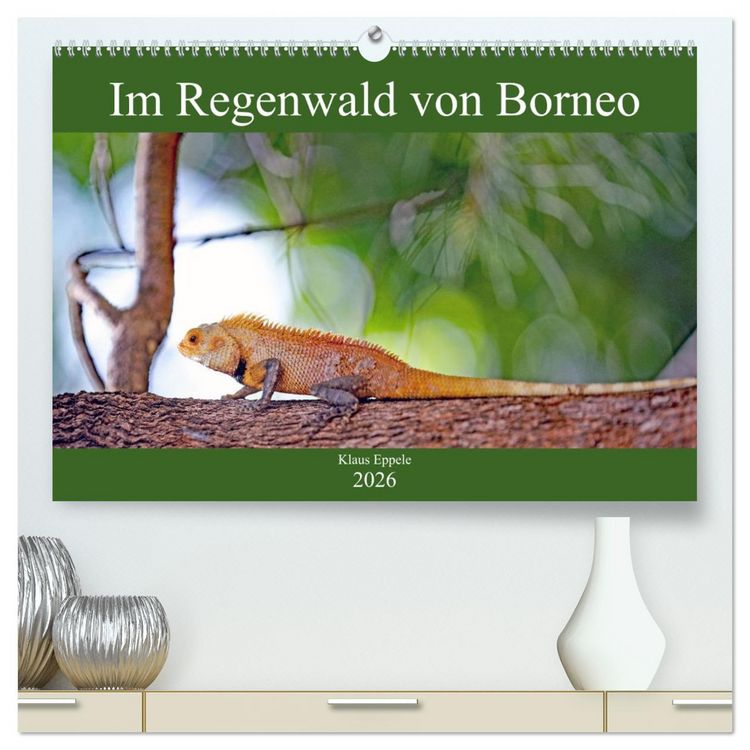Produktbild: Im Regenwald von Borneo (hochwertiger Premium Wandkalender 2026 DIN A2 quer), Kunstdruck in Hochglanz
