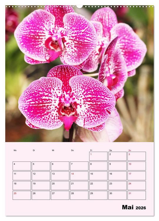Produktbild: Orchideenliebe (hochwertiger Premium Wandkalender 2026 DIN A2 hoch), Kunstdruck in Hochglanz