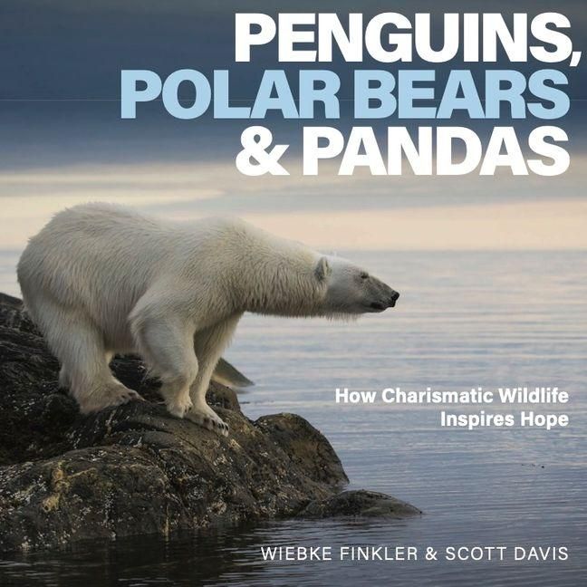 Produktbild: Penguins, Polar Bears, and Pandas