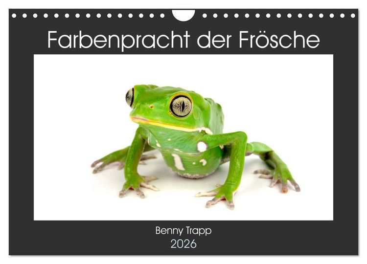 Produktbild: Farbenpracht der Fr&ouml;sche (Wandkalender 2026 DIN A4 quer), CALVENDO Monatskalender