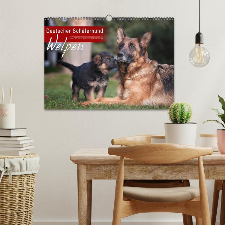 Produktbild: Deutscher Sch&auml;ferhund - Welpen (Wandkalender 2026 DIN A3 quer), CALVENDO Monatskalender
