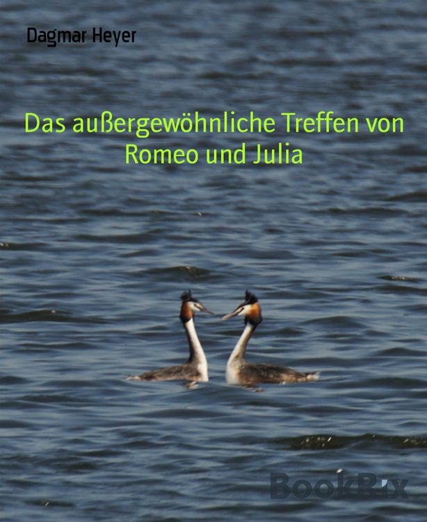 Produktbild: Das au&szlig;ergew&ouml;hnliche Treffen von Romeo und Julia