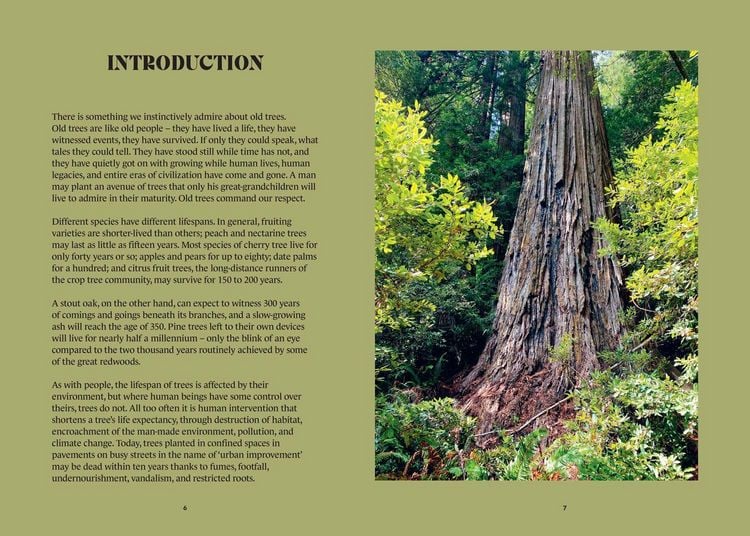 Produktbild: The History Trees