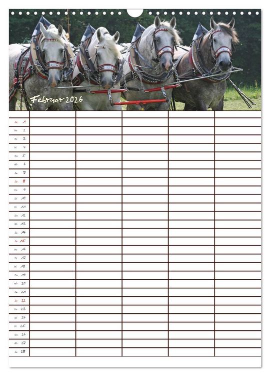 Produktbild: Der Kaltblut-Familienplaner (Wandkalender 2026 DIN A3 hoch), CALVENDO Monatskalender