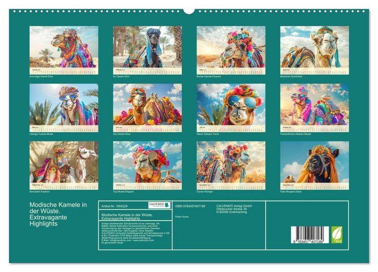 Produktbild: Modische Kamele in der W&uuml;ste. Extravagante Highlights (hochwertiger Premium Wandkalender 2026 DIN A2 quer), Kunstdruck in Hochglanz