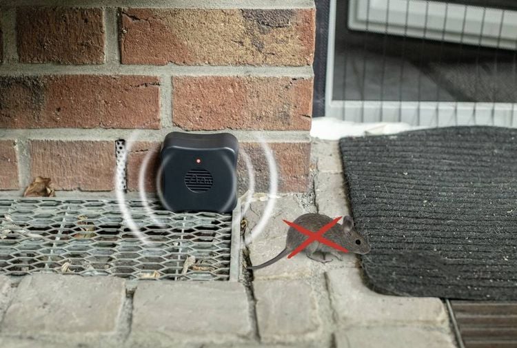 Produktbild: Gardigo Tiervertreiber Funktionsart Ultraschall Wirkungsbereich 40m&sup2; 1St.