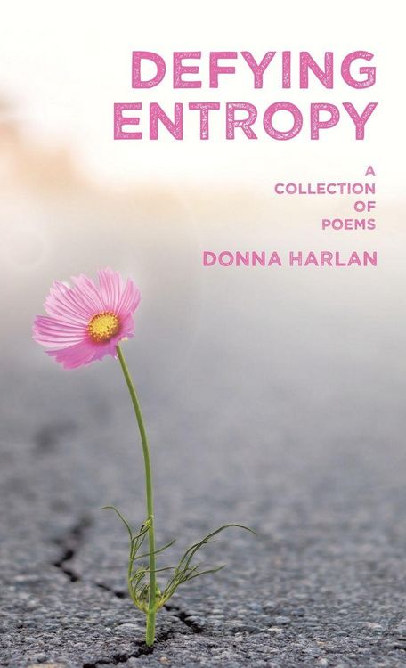 Produktbild: Defying Entropy
