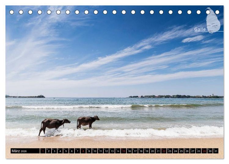 Produktbild: Sri Lanka, eine Reise &uuml;ber die Insel der King Coconut (Tischkalender 2026 DIN A5 quer), CALVENDO Monatskalender