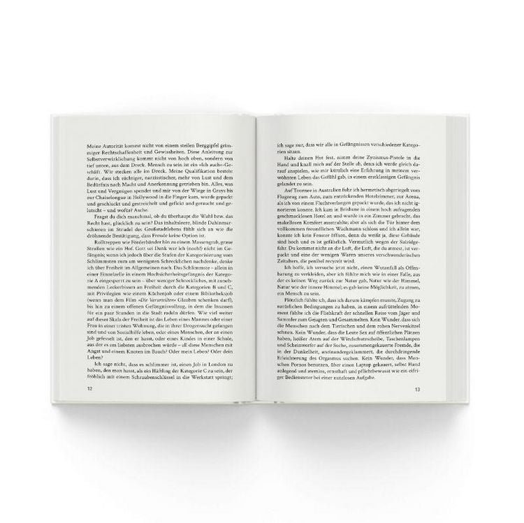 Produktbild: Die 12 Schritte aus der Sucht