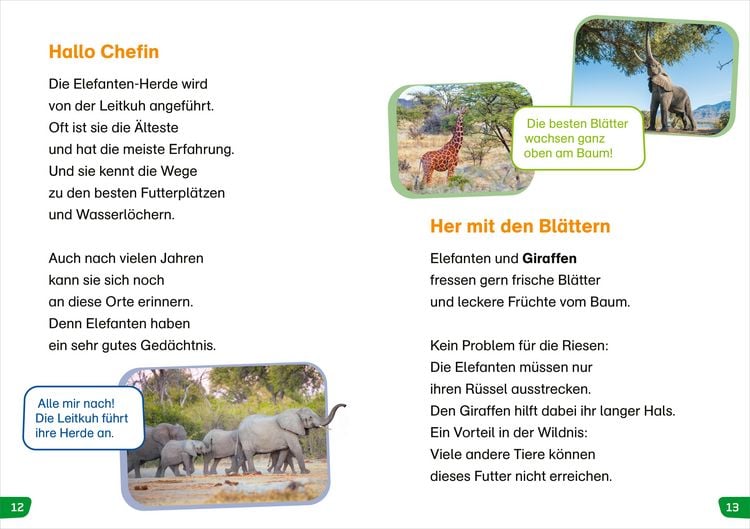 Produktbild: WAS IST WAS Erstes Lesen easy! Tiere in Afrika