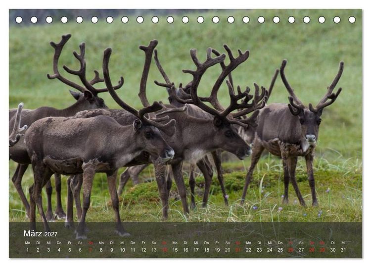 Produktbild: Lappland 2027 (Tischkalender 2027 DIN A5 quer), CALVENDO Monatskalender
