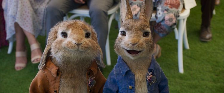 Produktbild: Peter Hase 2 - Ein Hase macht sich vom Acker