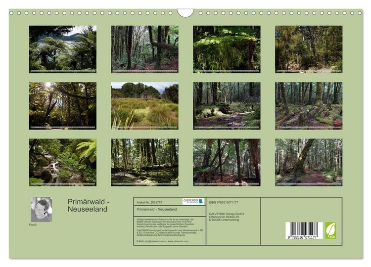 Produktbild: Prim&auml;rwald - Neuseeland (Wandkalender 2026 DIN A3 quer), CALVENDO Monatskalender