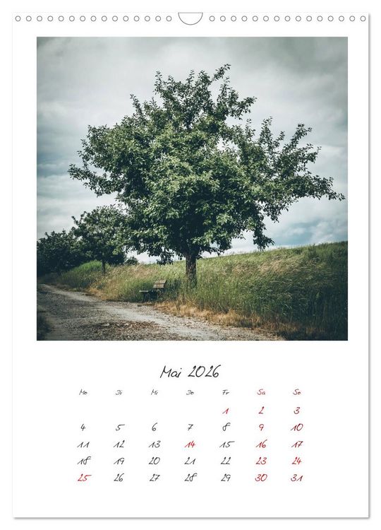 Produktbild: Rosenheim und Umgebung ... Landschaft genie&szlig;en (Wandkalender 2026 DIN A3 hoch), CALVENDO Monatskalender
