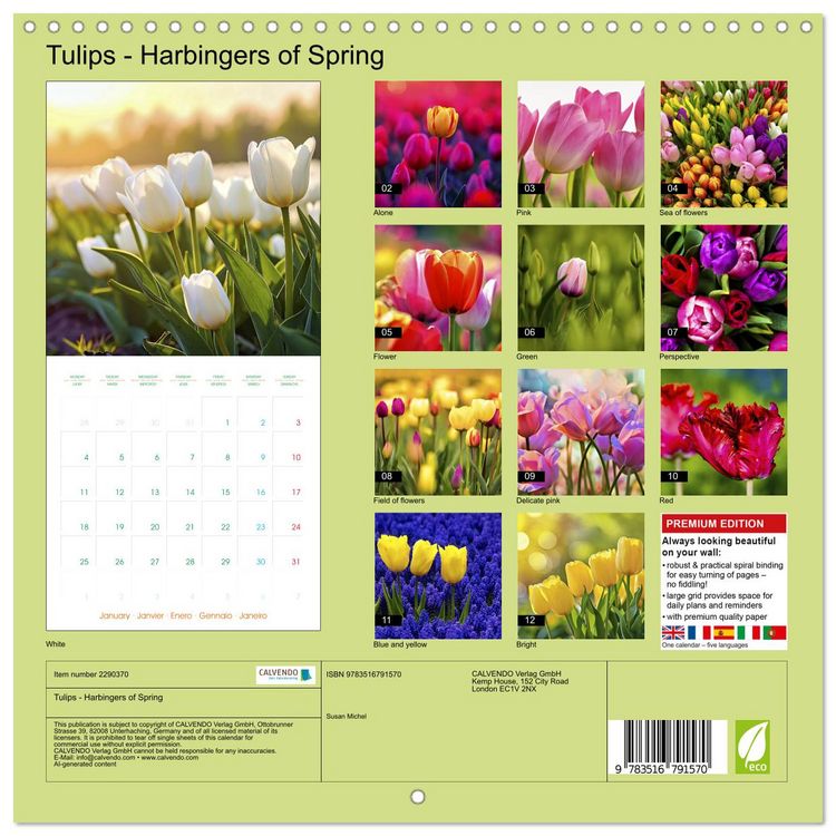 Produktbild: Tulips - Harbingers of Spring (Wall Calendar 2027 12 &times; 12 Inch) CALVENDO 12 Month Wall Calendar