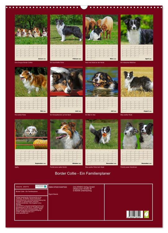 Produktbild: Border Collie - Ein Familienplaner (Wandkalender 2026 DIN A2 hoch), CALVENDO Monatskalender