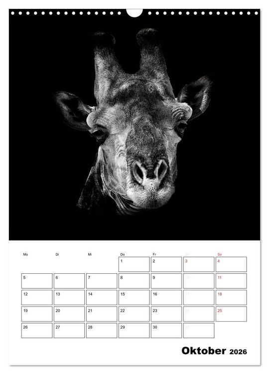 Produktbild: Charakterk&ouml;pfe aus der Welt der Tiere (Wandkalender 2026 DIN A3 hoch), CALVENDO Monatskalender