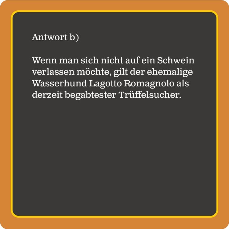 Produktbild: Das Hunde-Quiz (Neuauflage)