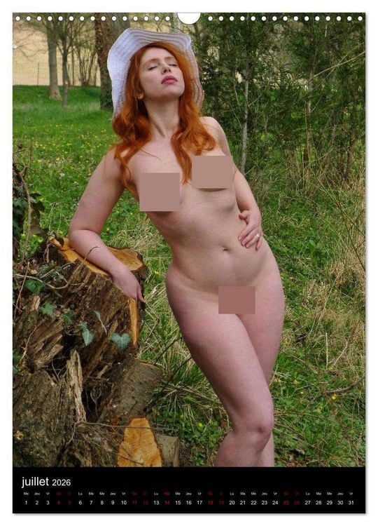 Produktbild: Douceur d'automne (Calendrier mural 2026 DIN A3 horizontal), CALVENDO calendrier mensuel