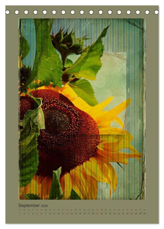 Produktbild: Vintage Style (Tischkalender 2026 DIN A5 hoch), CALVENDO Monatskalender