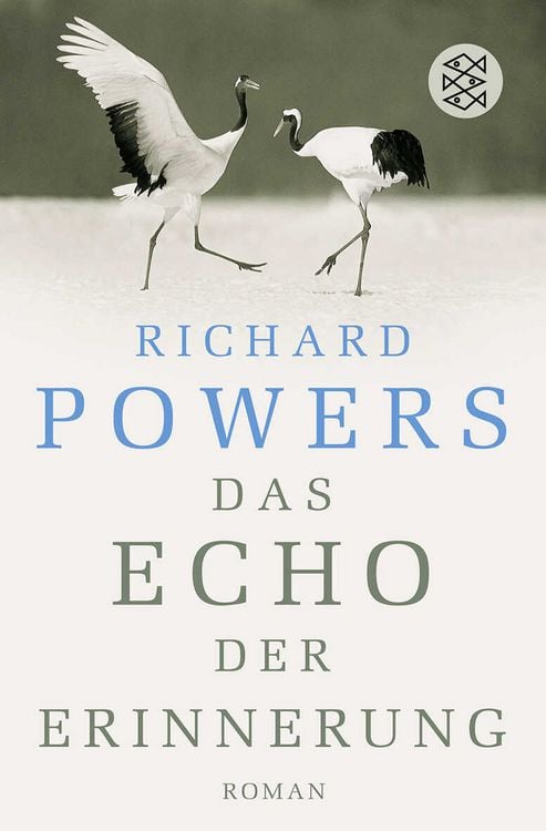 Produktbild: Das Echo der Erinnerung