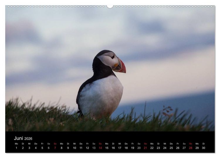 Produktbild: Island - Iceland - &Iacute;sland (hochwertiger Premium Wandkalender 2026 DIN A2 quer), Kunstdruck in Hochglanz