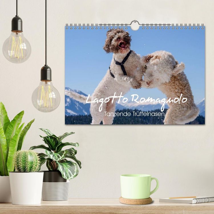 Produktbild: Lagotto Romagnolo Tanzende Tr&uuml;ffelnasen (Wandkalender 2026 DIN A4 quer), CALVENDO Monatskalender
